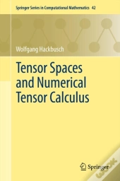 Tensor Spaces And Numerical Tensor Calculus