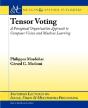 Tensor Voting - Preview