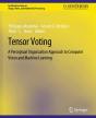Tensor Voting - Preview