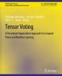 Tensor Voting - Preview