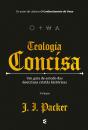 Teologia Concisa - Preview