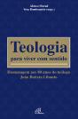 Teologia Para Viver Com Sentido - Preview