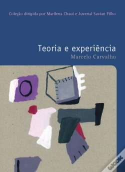 Capa do artigo Teoria E Experiência