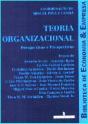 Teoria Organizacional - Preview