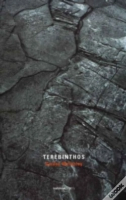 Capa do artigo Terebinthos