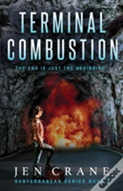 Capa do artigo Terminal Combustion