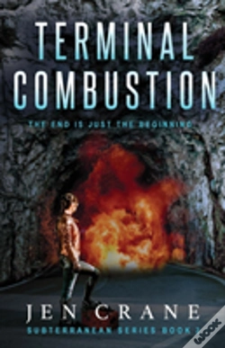 Capa do artigo Terminal Combustion