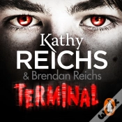 Capa do artigo Terminal