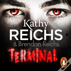 Capa do artigo Terminal