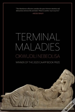 Capa do artigo Terminal Maladies