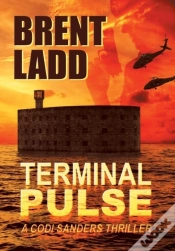 Capa do artigo Terminal Pulse