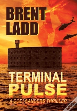 Capa do artigo Terminal Pulse