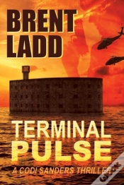Capa do artigo Terminal Pulse