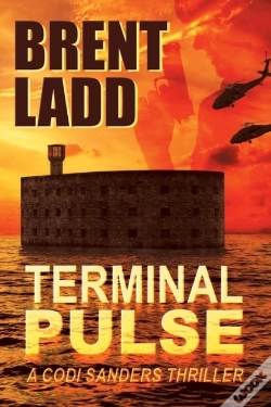 Capa do artigo Terminal Pulse