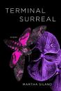 Terminal Surreal - Preview
