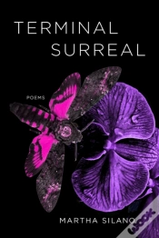 Capa do artigo Terminal Surreal