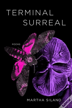 Capa do artigo Terminal Surreal