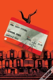 Capa do artigo Terminal Zones