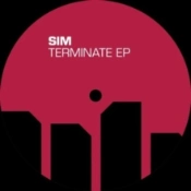 Capa do artigo Terminate EP - Vinil