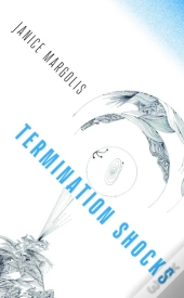 Termination Shocks