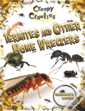 Termites And Other Home Wreckers