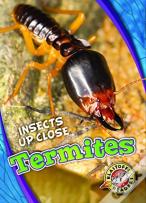 Termites