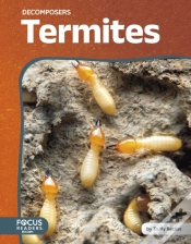 Capa do artigo Termites