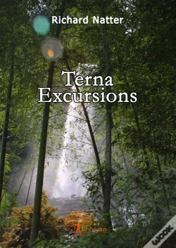 Capa do artigo Terna Excursions