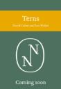 Terns - Preview