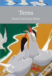 Capa do artigo Terns