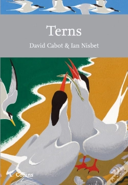 Capa do artigo Terns