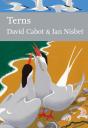 Terns - Preview