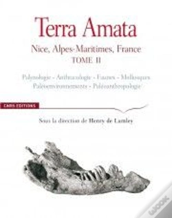Capa do artigo Terra Amata T.Ii