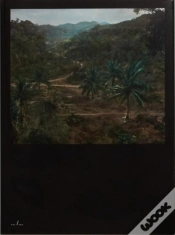 Capa do artigo Terra Nullius