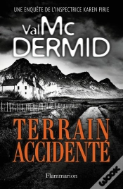 Capa do artigo Terrain Accidente