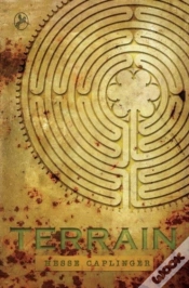 Capa do artigo Terrain
