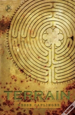 Capa do artigo Terrain