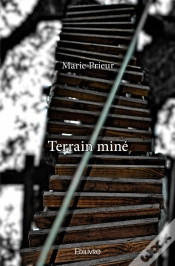 Capa do artigo Terrain Miné