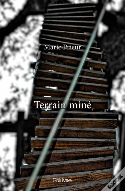 Capa do artigo Terrain Miné