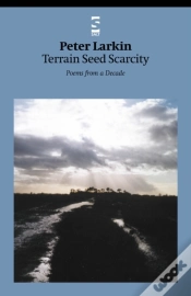 Capa do artigo Terrain Seed Scarcity