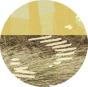 Terrapin - Vinil - Preview