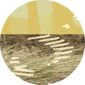 Capa do artigo Terrapin - Vinil