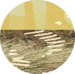 Capa do artigo Terrapin - Vinil