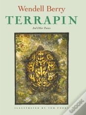 Capa do artigo Terrapin
