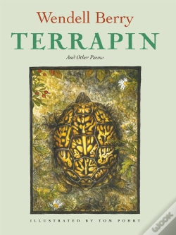 Capa do artigo Terrapin