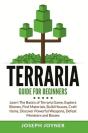 Terraria Guide For Beginners - Preview