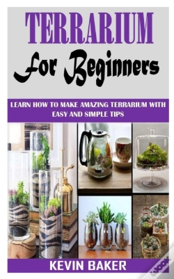 Capa do artigo Terrarium For Beginners