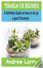 Terrarium For Beginners
