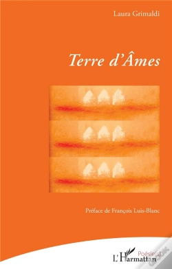 Capa do artigo Terre D'Ames