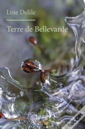 Terre De Bellevarde